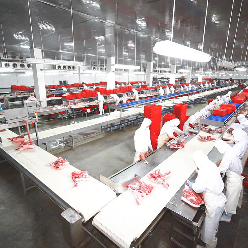 生猪宰割剔骨解决规划