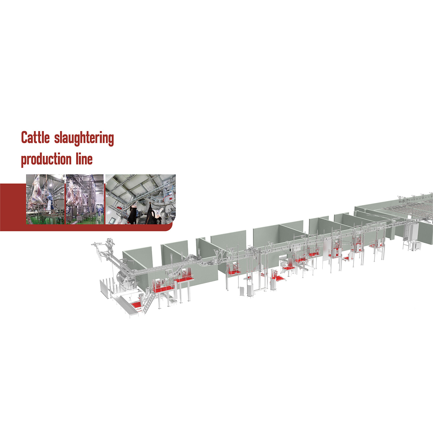 牛屠宰解决规划